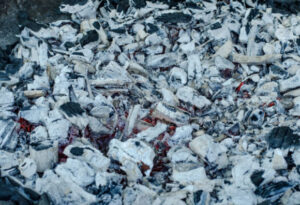 Processo Cautelar Autônomo