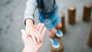 Proposta de alimentos