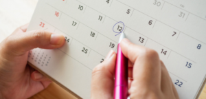 contagem dos prazos e agravo de instrumento