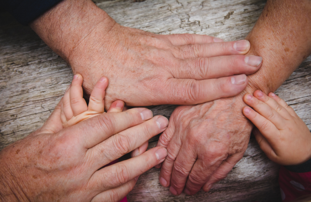 Obrigação Alimentar Avoenga